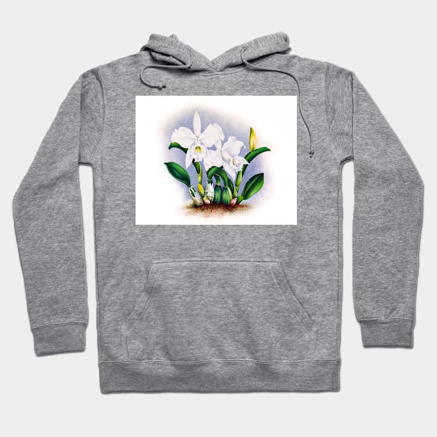 White lilies Hoodie by Marccelus